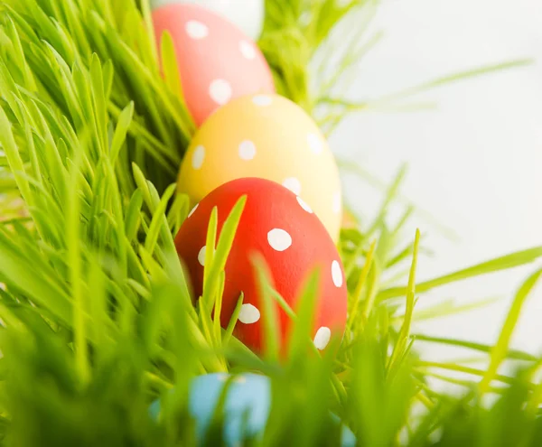 Colorful Easter eggs — Stock Photo, Image