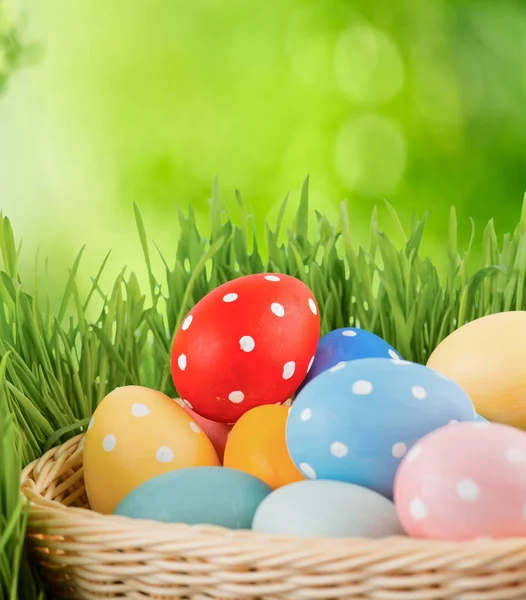 Colorful Easter eggs — Stock Photo, Image