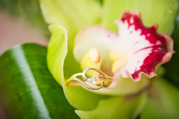 Золотое обручальное кольцо — стоковое фото