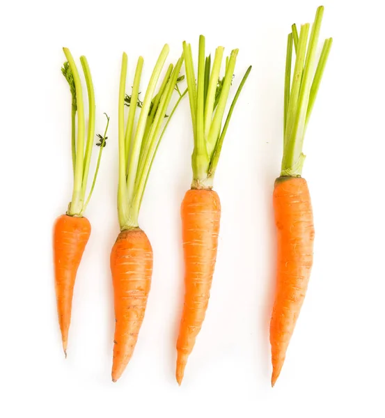 Свіжа морква з листям — стокове фото