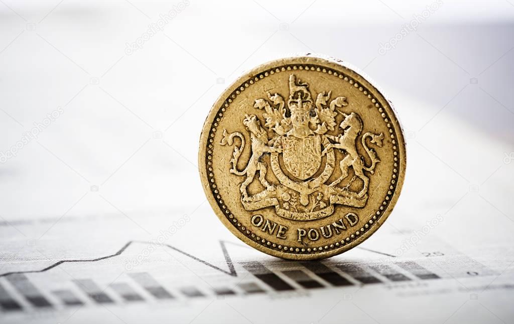 One pound coin  