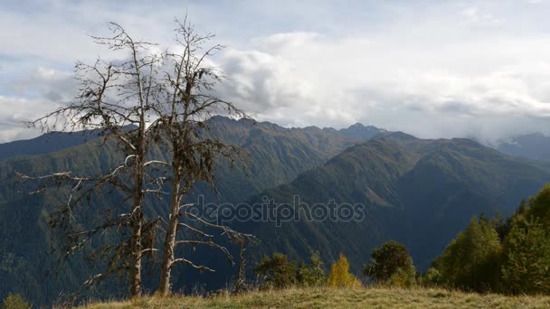 Όμορφη Φύση Της Svaneti Γεωργία — Αρχείο Βίντεο