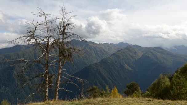 Όμορφη Φύση Της Svaneti Γεωργία — Αρχείο Βίντεο