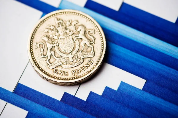 One pound coin — Stock Photo, Image