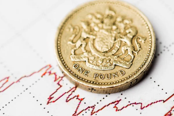 One pound coin — Stock Photo, Image