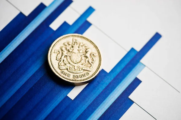 One pound coin — Stock Photo, Image