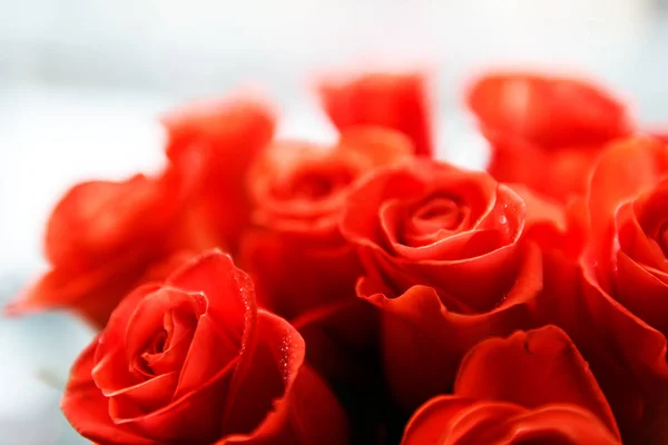 Primo Piano Belle Rose Rosse Bouquet — Foto Stock