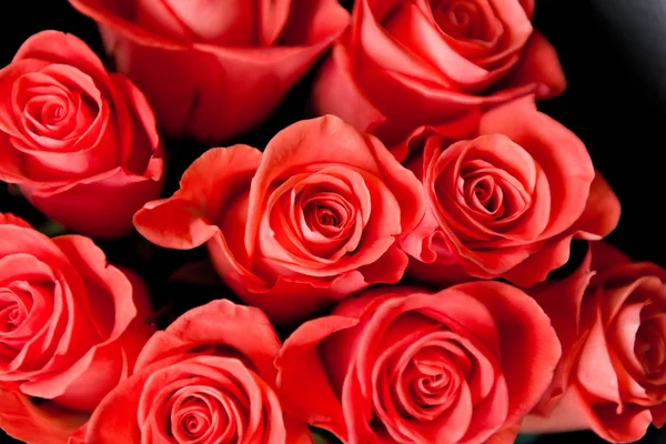 Primo Piano Belle Rose Rosse Bouquet — Foto Stock