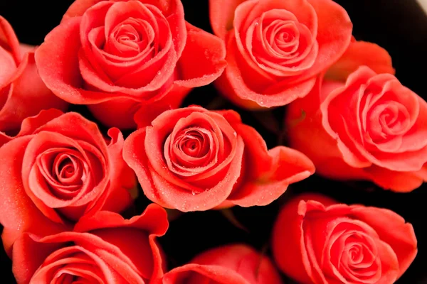 Primo Piano Belle Rose Rosse Bouquet — Foto Stock