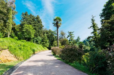 Mavi gökyüzü ile yeşil Park Road