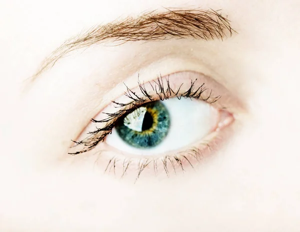 Females Blue Eye Long Eyelashes Closeup — Stock Photo, Image