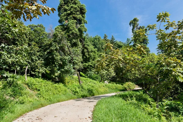 Road Green Park Blue Sky — Stock Photo, Image