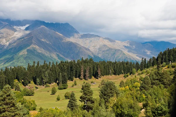 Paysage Montagnes Caucase Vert Géorgie — Photo