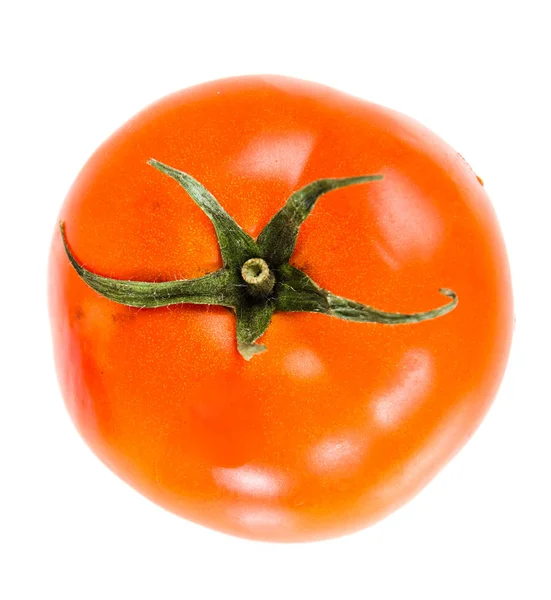 Färsk Tomat Vit Bakgrund Topp Vie — Stockfoto