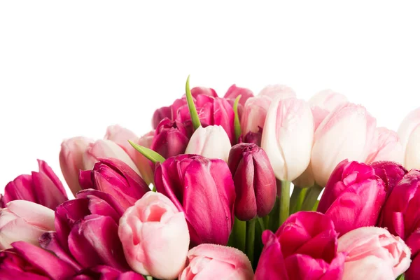 Közelkép Rózsaszín Tulipán Csokor — Stock Fotó