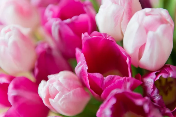 Gros Plan Bouquet Tulipes Roses — Photo