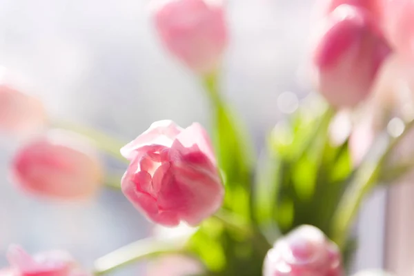 花瓶上的粉红色郁金香花束对窗口 — 图库照片