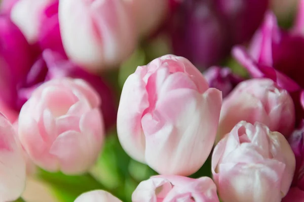 ピンクのチューリップの花束のクローズ アップ ロイヤリティフリーのストック画像