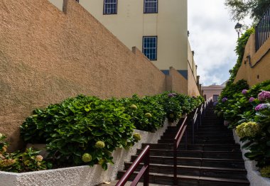 La Orotava 'da merdivenler, Tenerife adası, İspanya