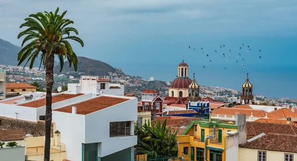 La Orotava kasabası, Tenerife, Kanarya Adaları — Stok fotoğraf