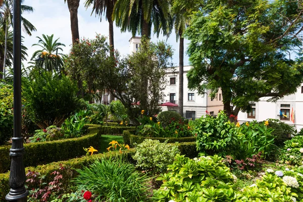 Jardín público en La Orotava, Tenerife . —  Fotos de Stock