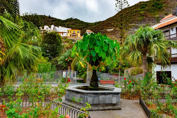 Parque de la Puerta de Tierra in Garachico. Tenerife — Stock Photo, Image