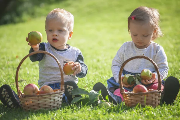 Jumeaux aux pommes — Photo