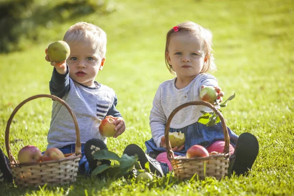 Jumeaux aux pommes — Photo