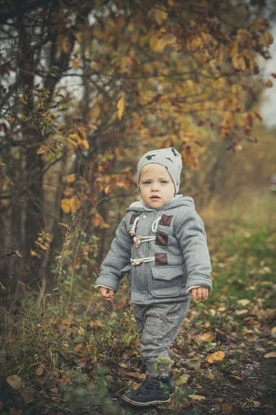 Sonbahar parkında küçük bir çocuk — Stok fotoğraf