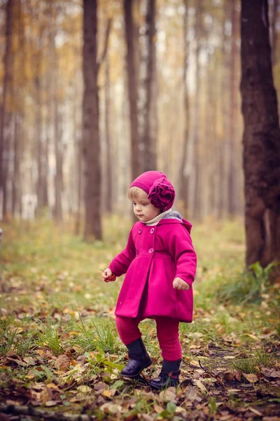 Sonbahar parkında küçük bir kız — Stok fotoğraf