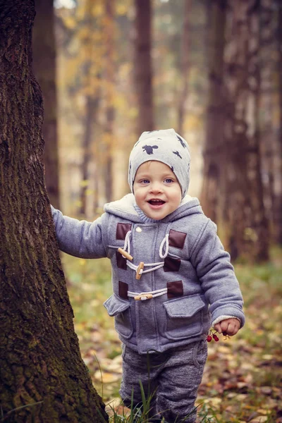Μικρό αγόρι στο πάρκο του φθινοπώρου — Φωτογραφία Αρχείου