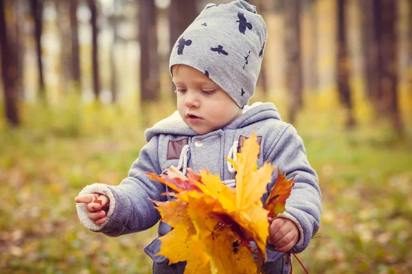 Sonbahar parkında küçük bir çocuk — Stok fotoğraf