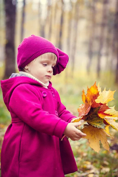 Sonbahar parkında küçük bir kız — Stok fotoğraf