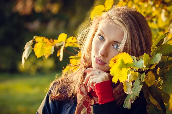 Szép őszi lány — Stock Fotó