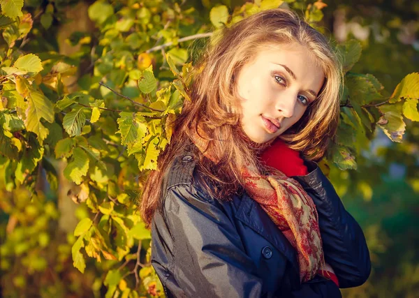 Beautiful autumn girl — Stock Photo, Image