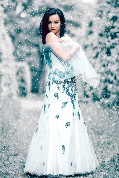 Winter ice queen — Stockfoto