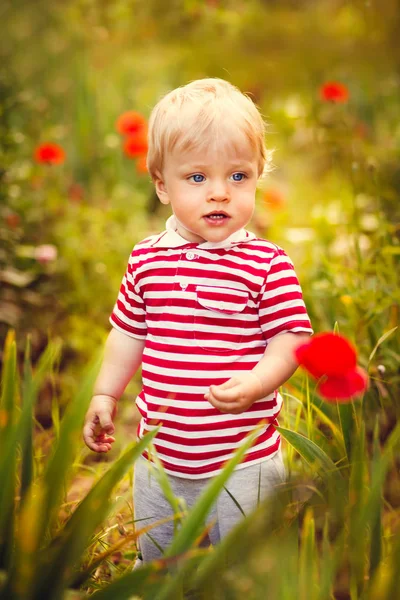 Zomer jongetje — Stockfoto