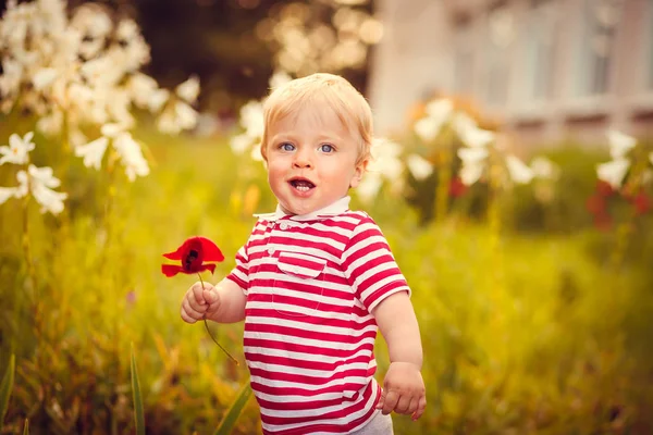 Piccolo ragazzo estivo — Foto Stock