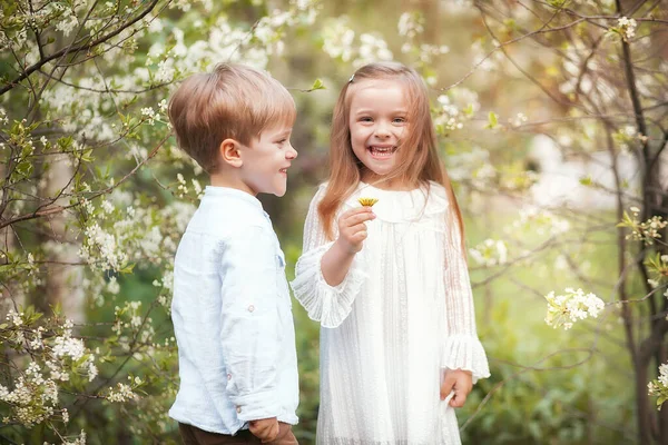 Funny twins in spring park Stockfoto