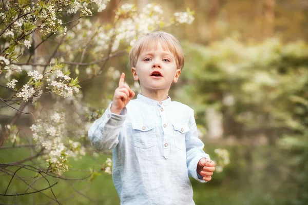 Funny boy in sprig park Royalty Free Stock Images