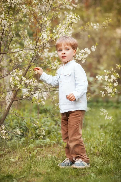 Funny boy in sprig park Royaltyfria Stockfoton