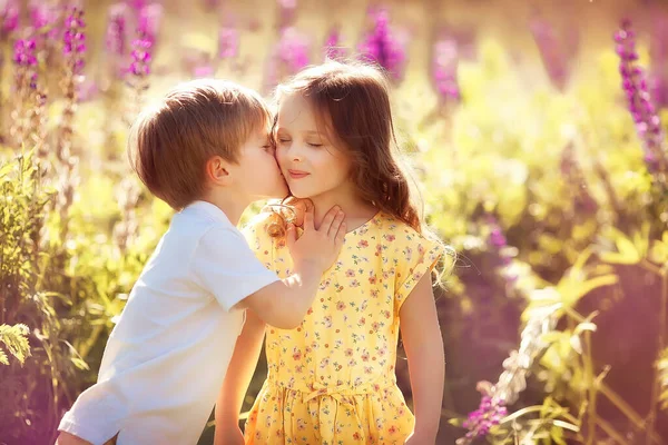 Glückliche Zwillinge Junge Und Mädchen Auf Sonniger Wiese Mit Sommerblumen — Stockfoto