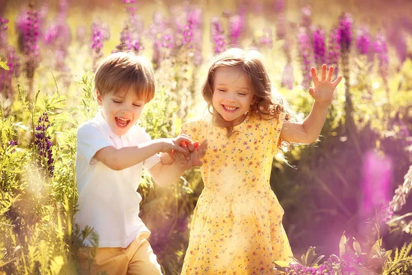 Menino Menina Gêmeos Felizes Prado Ensolarado Com Flores Verão — Fotografia de Stock