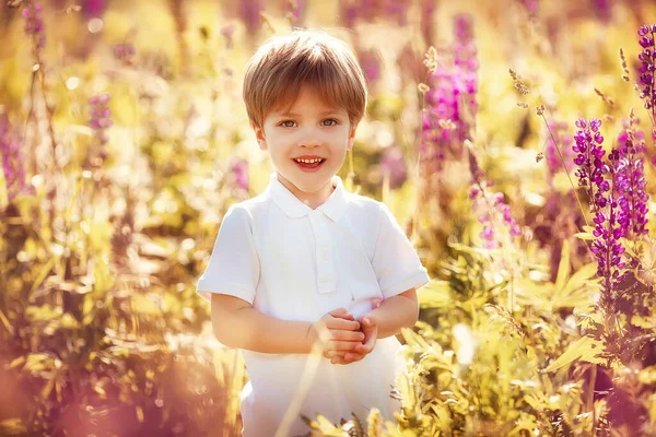 可爱的小男孩儿 夏天的花朵在阳光灿烂的草地上 — 图库照片