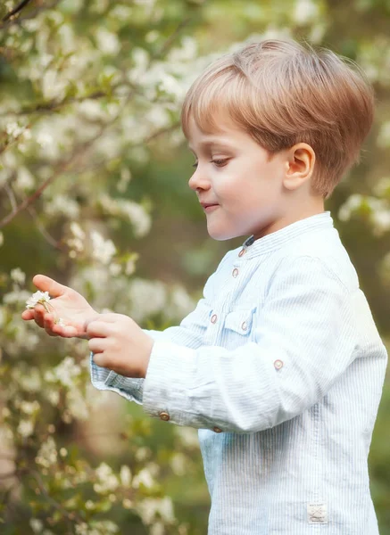 Lustiger Kleiner Junge Mit Frühlingsblume Blühenden Frühlingsgarten — Stockfoto