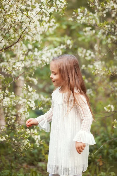 Lustiges Kleines Mädchen Weißem Kleid Blühenden Frühlingsgarten — Stockfoto