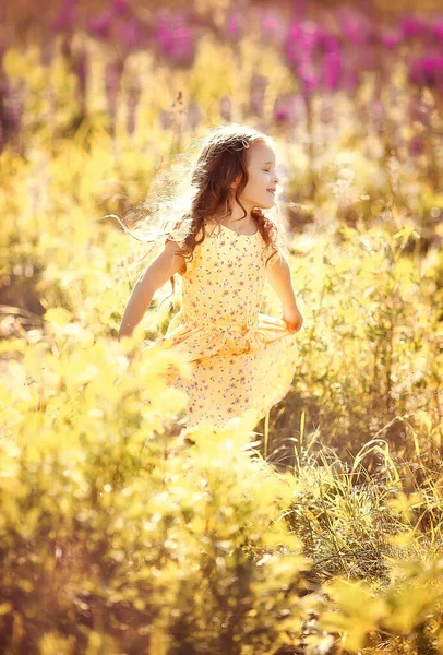 Belle Petite Fille Avec Des Fleurs Violettes Dans Prairie Été Photos De Stock Libres De Droits