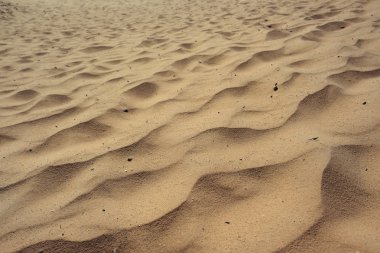 Dunes, Sandy arka plan