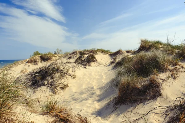 Küçük Sable noktası Dunes — Stok fotoğraf