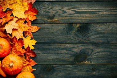 Sonbahar yaprakları ve balkabakları 